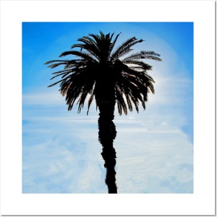 Palm Tree Serenity in a blue sky and white clouds Posters and Art